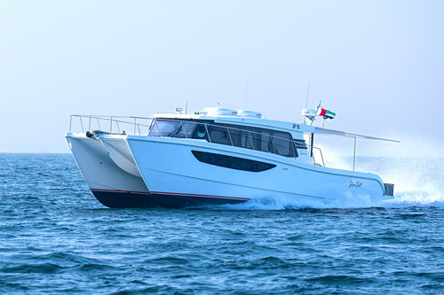 Express-Cruiser / Katamaran - SilverCat 46LUX - SMART OWN - Außenborder / viermotorig / Hardtop