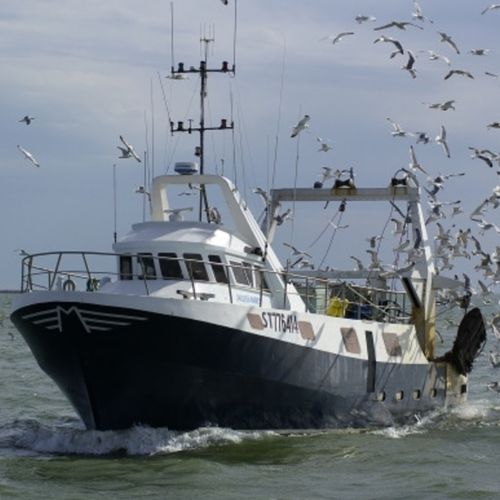 Trawler-Berufsschiff - FRANÇOIS-DELPHINE - MARTINEZ CONSTRUCTIONS NAVALES - Innenborder / Diesel / Polyester