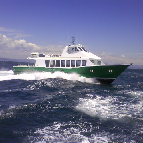 Passagierboot Berufsschiff - GIPSY XX - MARTINEZ CONSTRUCTIONS NAVALES - Innenborder / Diesel / Polyester