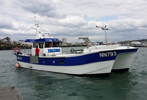 Berufsschiff / Berufsschiff für Fischerei - Talisman - Catapult Catamarans Marine Projects Ltd - Katamaran / Innenborder