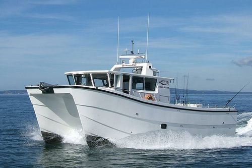 Berufsschiff / Berufsschiff für Fischerei - Crimson Tide - Catapult Catamarans Marine Projects Ltd - Katamaran / Innenborder