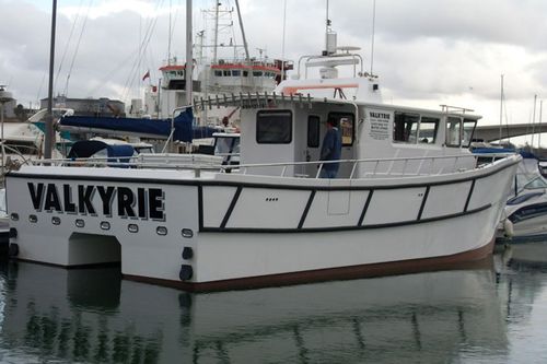 Berufsschiff / Berufsschiff für Fischerei - Valkyrie - Catapult Catamarans Marine Projects Ltd - Katamaran / Innenborder