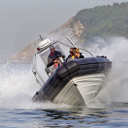 Rettungsboot Berufsschiff - TX-10.0 IB - Vanguard International - Innenborder / Diesel / Festrumpf-Schlauchboot