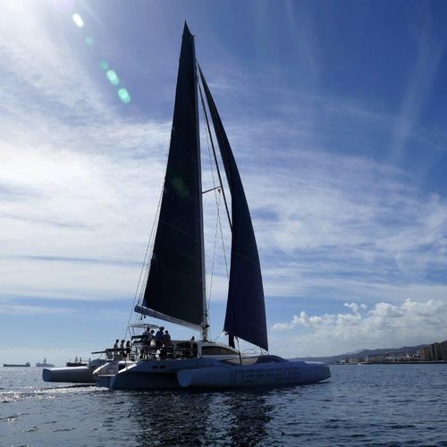 Trimaran-Segelyacht - Rapido Trimarans Limited