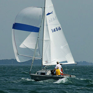 Großsegel - Evolution Class - Evolution Sails - Fock / Genua / Spinnaker