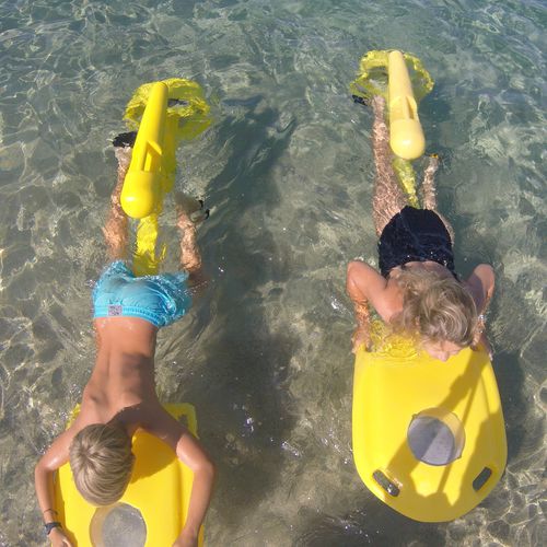 Einpersonen-Wasserfahrrad - VELOSUB - L' AQUAPHILE sarl - mit Unterwassersicht