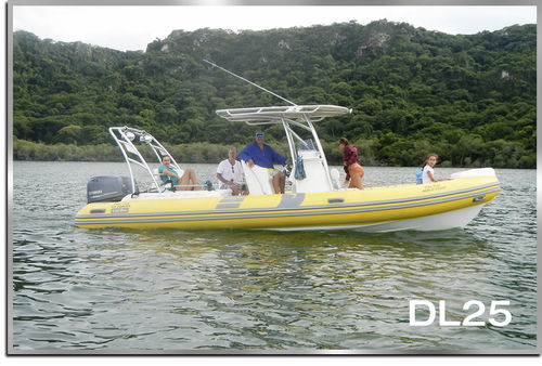 Außenborder-Schlauchboot - DL25 - Make Sense Marine Corp DBA Caribe Nautica - mit Mittelkonsole / max. 16 Personen / T-Top
