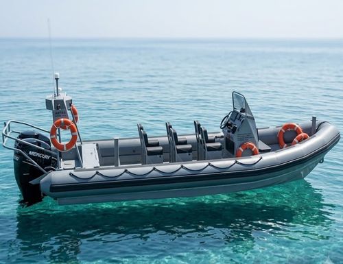Patrouillenboot Berufsschiff - MZ RIB 8.5 - AISTER ALUMINIUM SHIPYARD - Außenborder / RIB