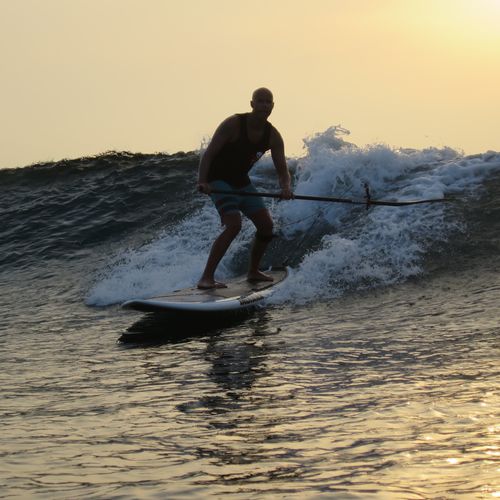 Allround-SUP - 10'6 - Indiana Paddle & Surf - Epoxid / Holz / Schaumstoff