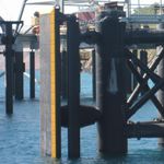 Fender für Hafen