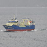 Berufsschiff für Fischerei / Trawler