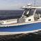 Konsolenboot mit Mittelkonsole290 OUTRAGEBoston Whaler