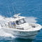 Express-Cruiser / Au&szlig;enborderS 388Pursuit Boats