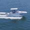 Cabin-Cruiser / Au&szlig;enborder790 VENTURA SDRodman