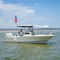 Au&szlig;enborder-Konsolenboot245 CCCobia