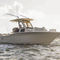 Au&szlig;enborder-Konsolenboot260 LXFScout Boats