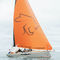 Daysailer-SegelbootSE 28 LeopardSaffier Yachts
