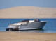 Innenborder-Runabout / mit Doppelkonsole / Open / max. 12 Personen