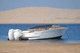 Außenborder-Runabout / zweimotorig / mit Doppelkonsole / Open