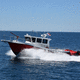 Feuerlöschboot-Berufsschiff / Innenborder / Festrumpf