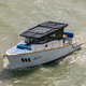 Express-Cruiser / Innenborder / elektrisch / Hardtop / max. 12 Personen