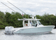 Express-Cruiser / Außenborder / Open / mit Mittelkonsole / Sportfischer
