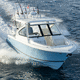 Außenborder-Runabout / zweimotorig / Open / mit Doppelkonsole