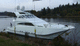 Katamaran-Motoryacht / Sportfischer / mit geschlossener Flybridge / Gleiter