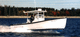 Innenborder-Konsolenboot / Sportfischer / T-Top