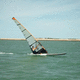 Windsurf-Segel / Race / Regatta / Renn / SDM