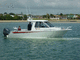 Cabin-Cruiser / Außenborder / Hardtop / Sport / Sportfischer