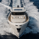 Motoryacht für Kreuzfahrten / mit Steuerhaus / IPS / 2 Kabinen