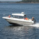 Cabin-Cruiser / Außenborder / mit geschlossenem Cockpit / Sportfischer / max. 8 Personen