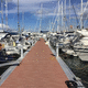 Schwimmponton / Anker / für Yachthafen / Beton