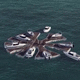 Schwimmponton / Anker / für Yachthafen / für Boot
