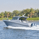 Patrouillenboot Berufsschiff / Außenborder / GRP