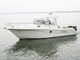 Cabin-Cruiser / Außenborder / zweimotorig / Flybridge / 4 Kojen