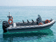 Patrouillenboot Berufsschiff / Außenborder / RIB