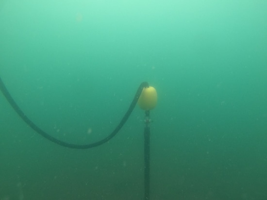 Unterwasserfoto der am wenigsten störenden Verankerungsleine an ihrem Platz