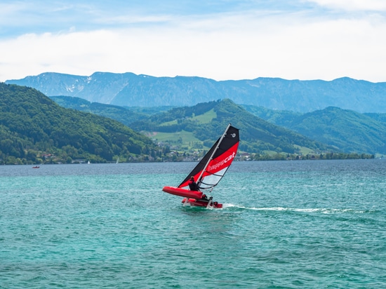 Neu bei GRABNER: Der HAPPY CAT STAR MINI!