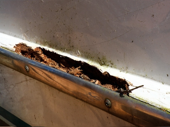 Directeck stellt das WEST SYSTEM®-Reparaturset für holzverrottete Stellen zur Instandsetzung von feuchtigkeitsgeschädigtem Holz vor