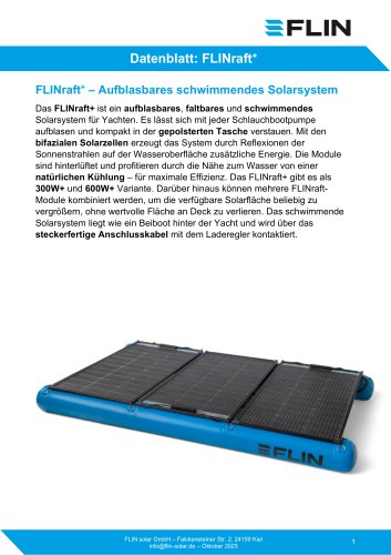 FLINraft+