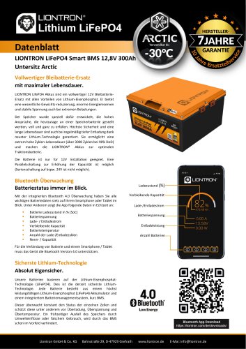 LIONTRON LiFePO4 Smart BMS 12,8V 300Ah Untersitz Arctic