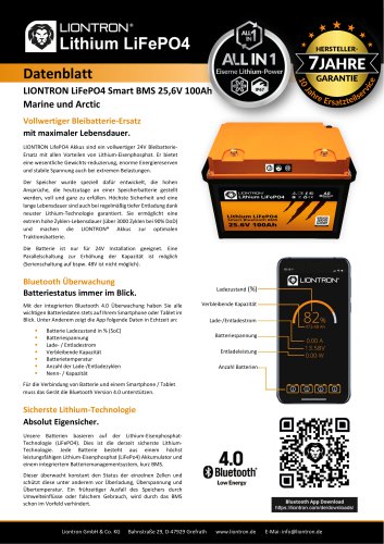 LIONTRON LiFePO4 Smart BMS 25,6V 100Ah Marine und Arctic