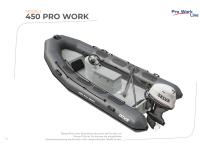PROFESSIONELLE SCHLAUCHBOOTE - 12