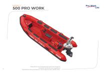 PROFESSIONELLE SCHLAUCHBOOTE - 14
