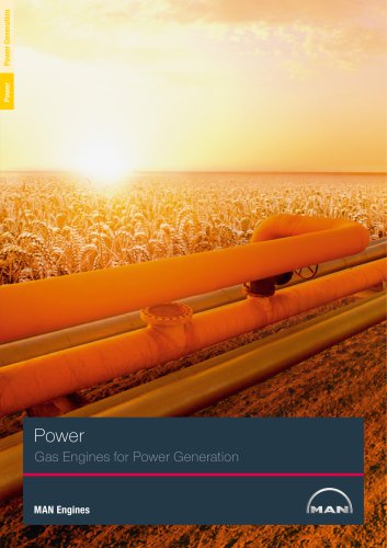 Power Gas Brochure