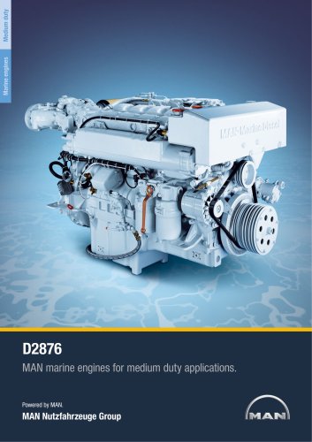 Marine engine D2876 - medium duty