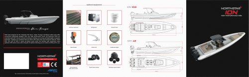 ION High Performance RIBs brochure