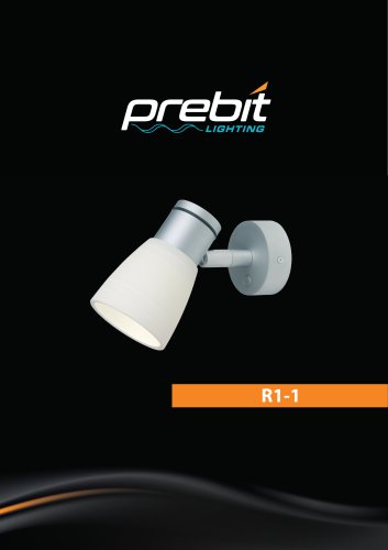 R1-1